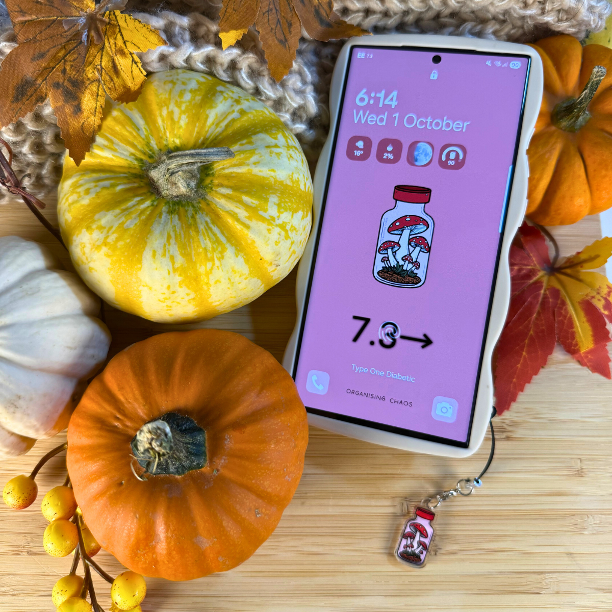 Free Pump-Kin Autumn Phone Wallpapers
