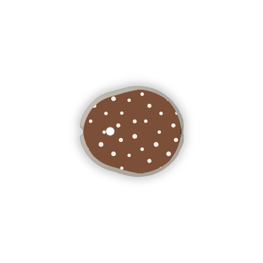 Mocha Moments Device Sticker 4 Pack