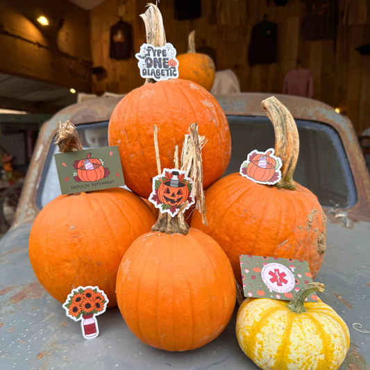 Diabetes Autumn Bundle